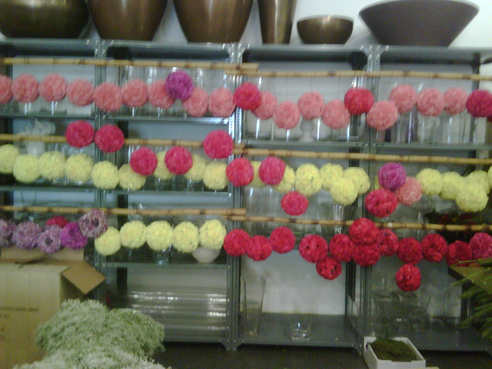 hanging carnation balls.