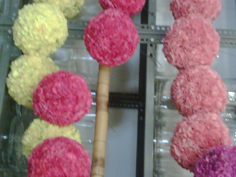 upclose-carnation-balls1