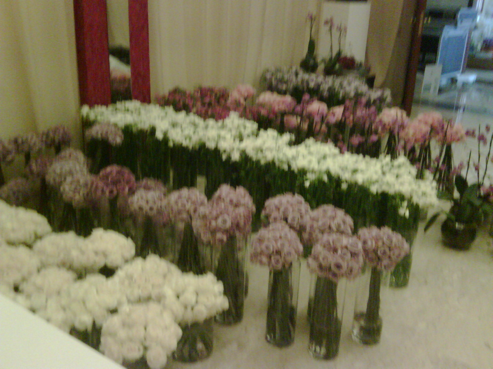 flowers-before-setting-up