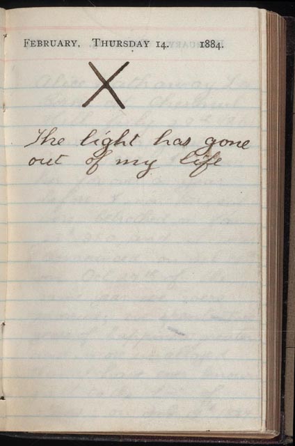 teddy-rosevelt-diary