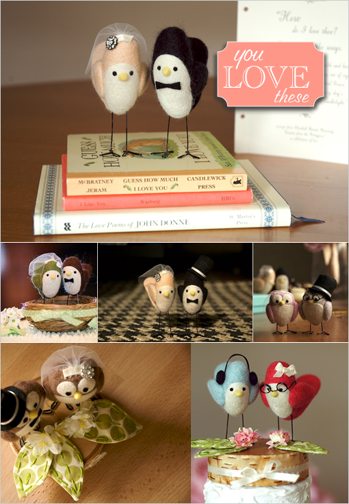 oh my god how cute squish these birds!!