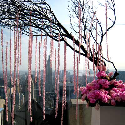 party flowers 