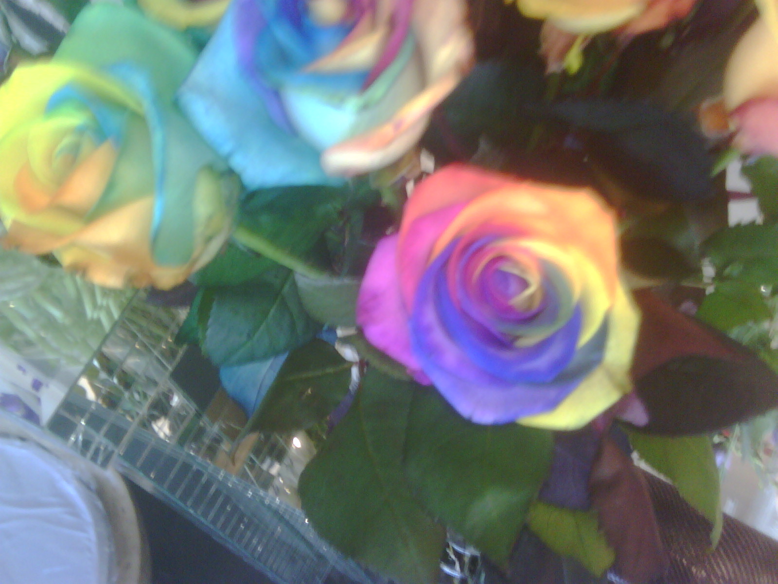 multicolour roses...