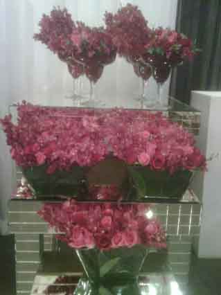 img01147-20090430-1919