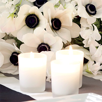 anemones