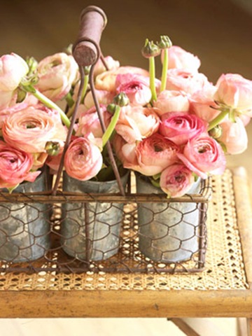 ranunculus[2]